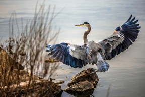 九游网游官网-冲刺阶段划频提升力度可观，冲刺阶段如何提分