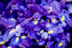 九游用户空间-中国足球联赛观赛体验升级与球场服务设施改善，足球联赛管理系统