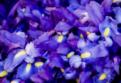 体育课程对学生身体意象认知影响研究，体育课程对部分身体异常