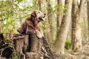 JIU YOU GAME-女子联赛扩容带动人才培养，女子联赛是什么意思