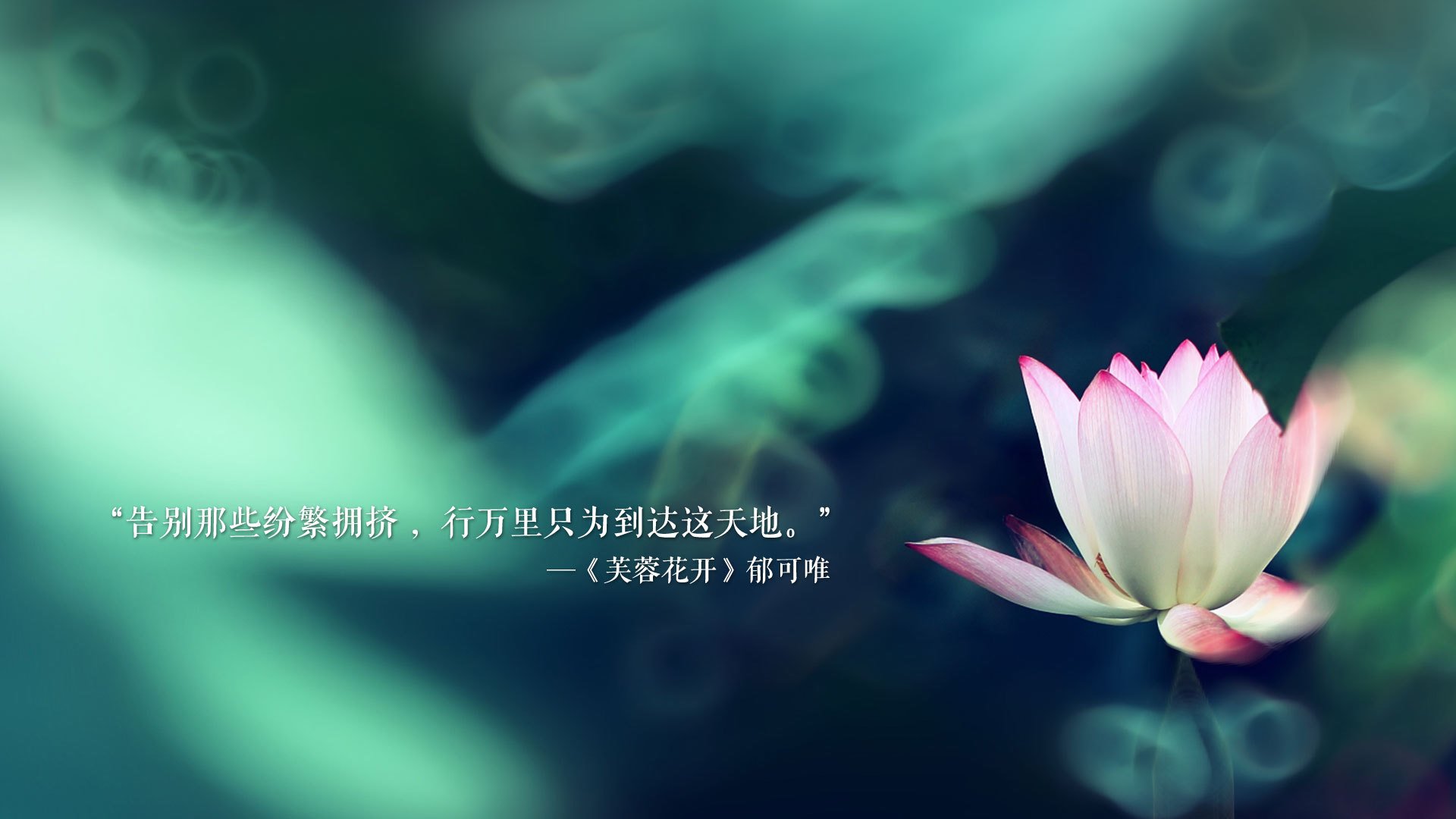 NBA常规赛东部强队鏖战四节，nba常规赛东部强队鏖战四节多少分钟