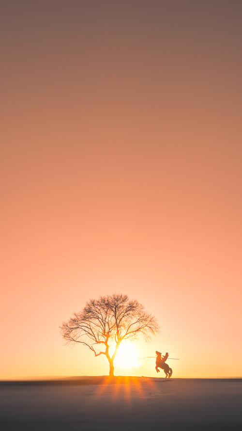 高校体育选修课程个性化教学模式研究,高校体育课程改革方案