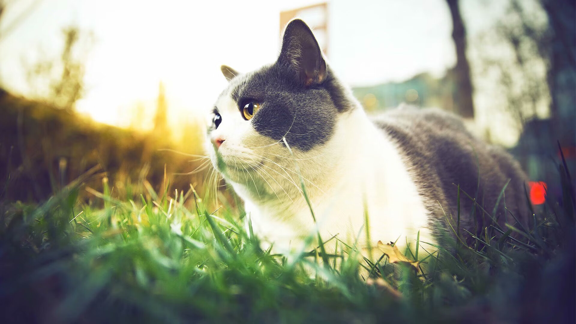 中国女篮围绕核心打造多变进攻组合,中国女篮进步