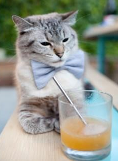 中美蝶泳转身效率孰高孰低?,美国蝶泳名将