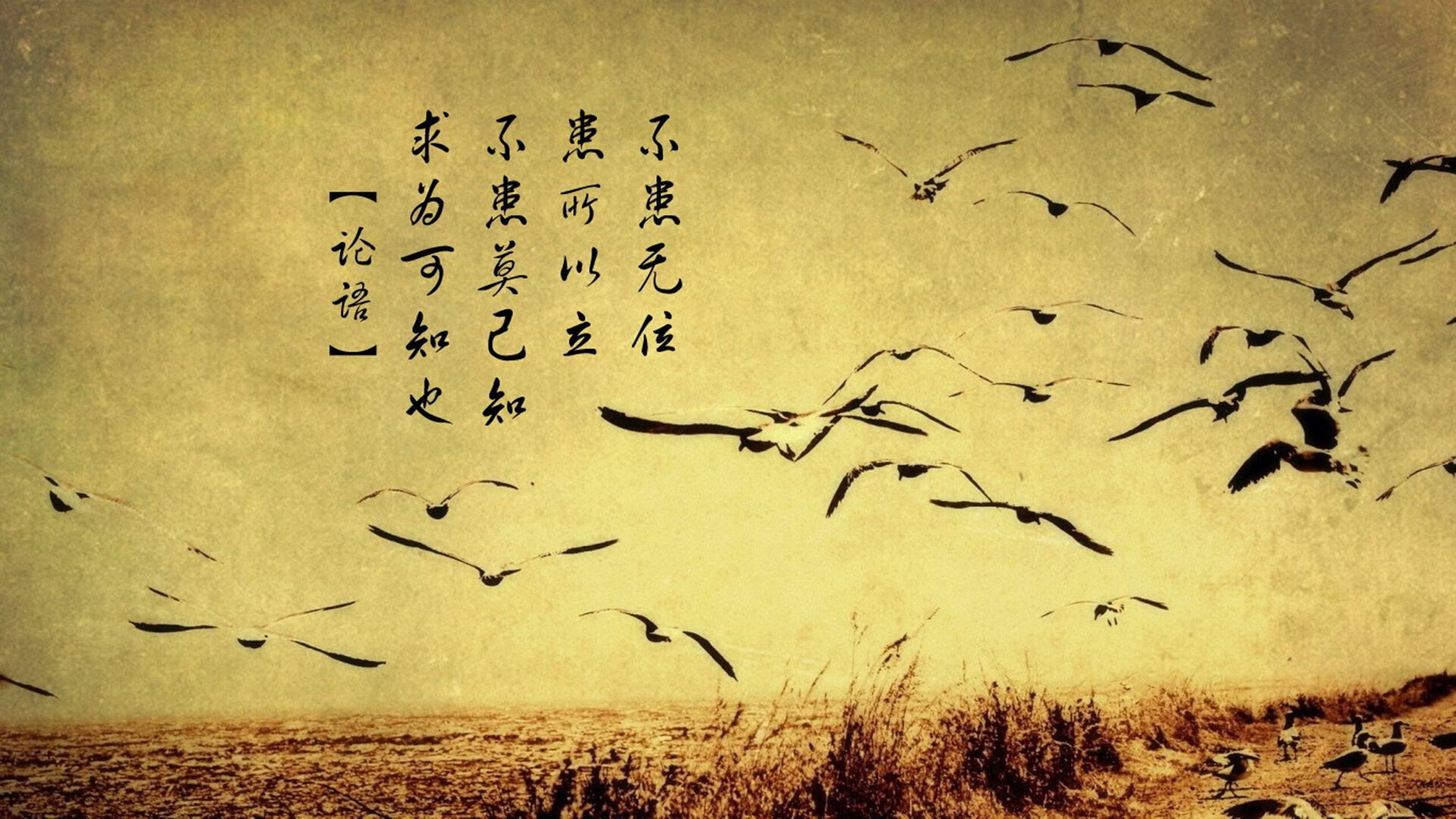 体育医疗团队提升紧急救援能力与响应速度,体育比赛的医疗援助