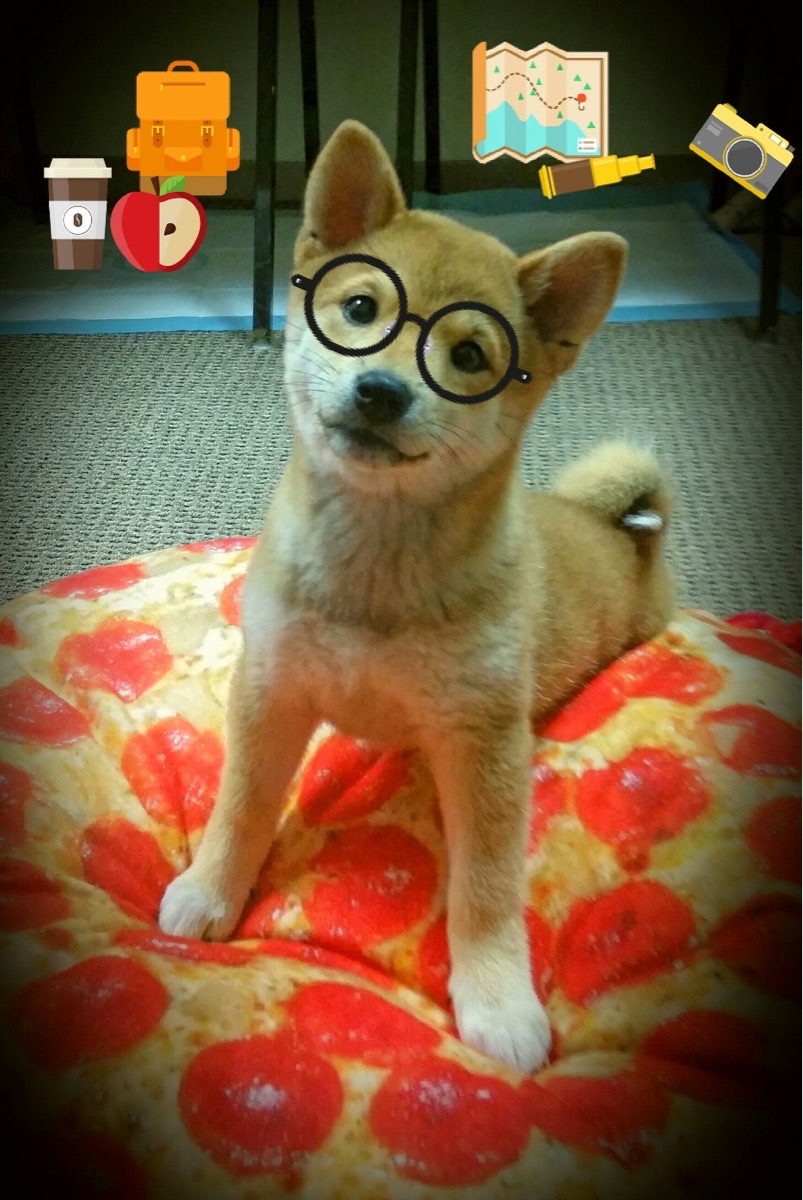 战术导向对比:中稳、美爆、澳准、德匀