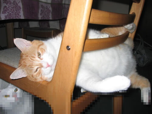 替补球员是否更适合执行无球压迫任务,替补球员进场怎么处罚