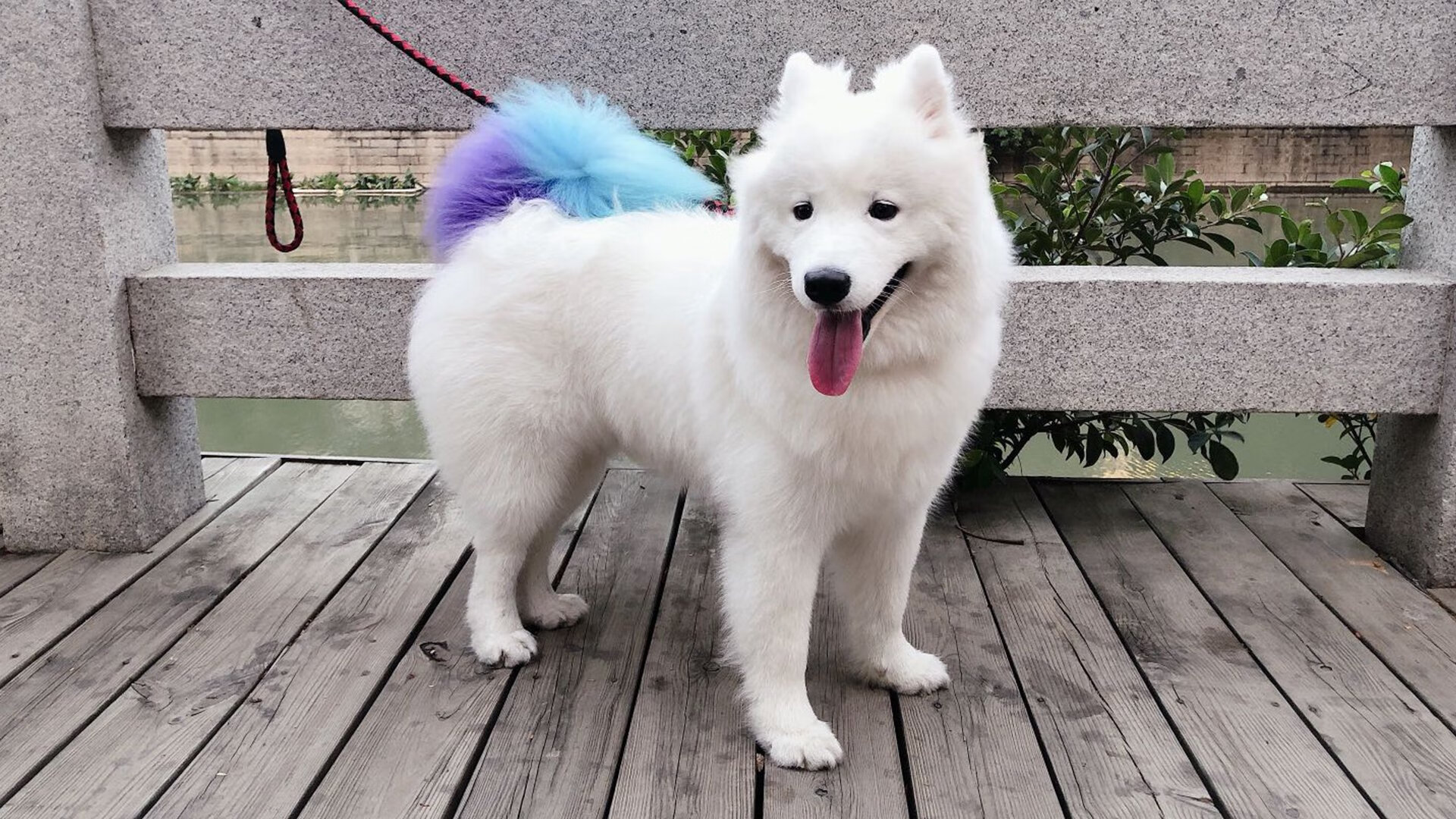 球员整体年龄偏小,经验不足是短板,球员年龄低于23岁