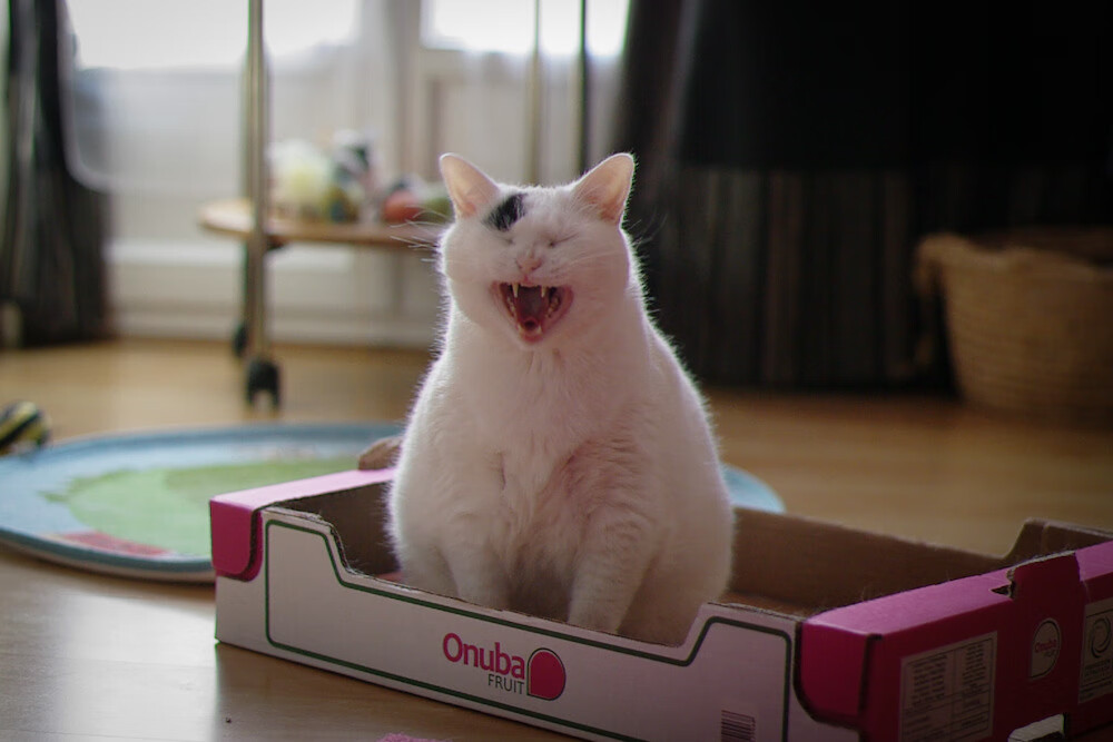 运动科技助力极限项目数据建模实现突破,运动系统建模