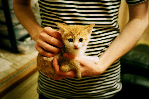 世界杯万人空巷:足球盛宴掀起狂潮,世界杯足球赛如火如荼地进行