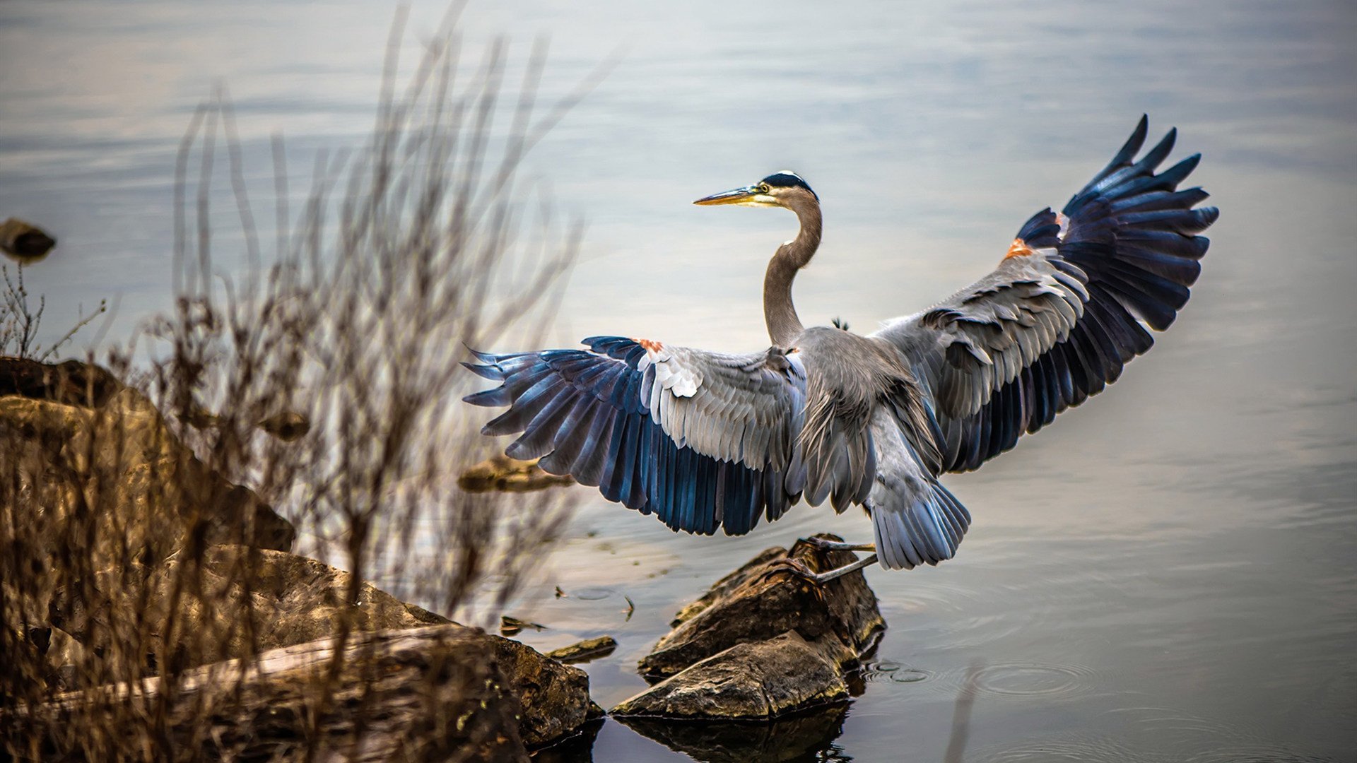 冲刺阶段划频提升力度可观,冲刺阶段如何提分