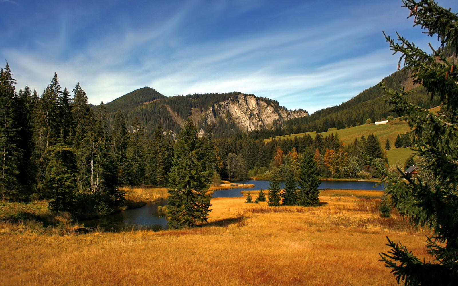 南非羚羊队:快节奏的进攻和强硬防守形成“双杀”优势