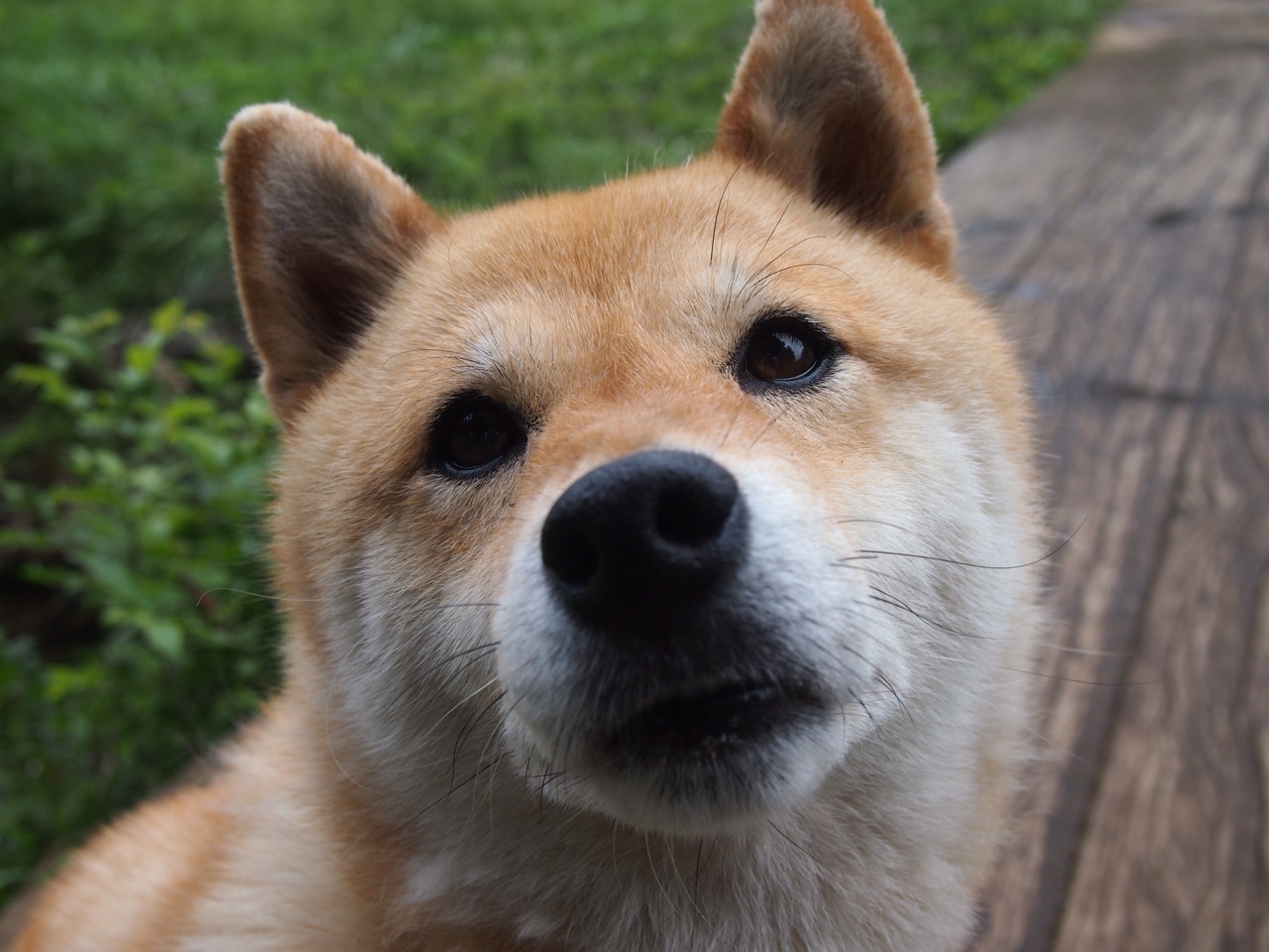 库里训练中命中率惊人状态回归,库里本赛季三项命中率