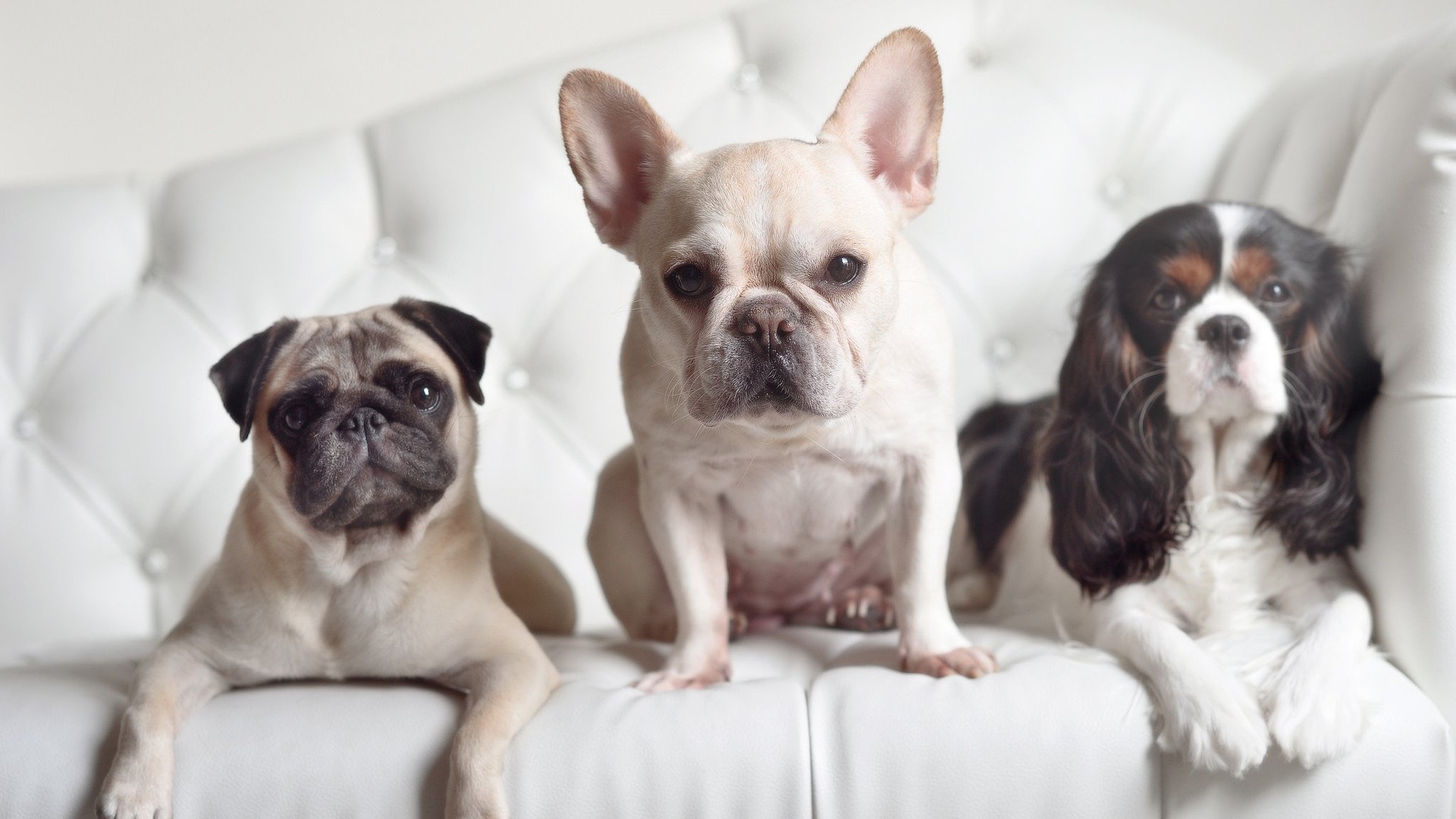 欧洲杯决胜时刻:战术变化带来意想不到的结局,欧洲杯决赛阶段规则