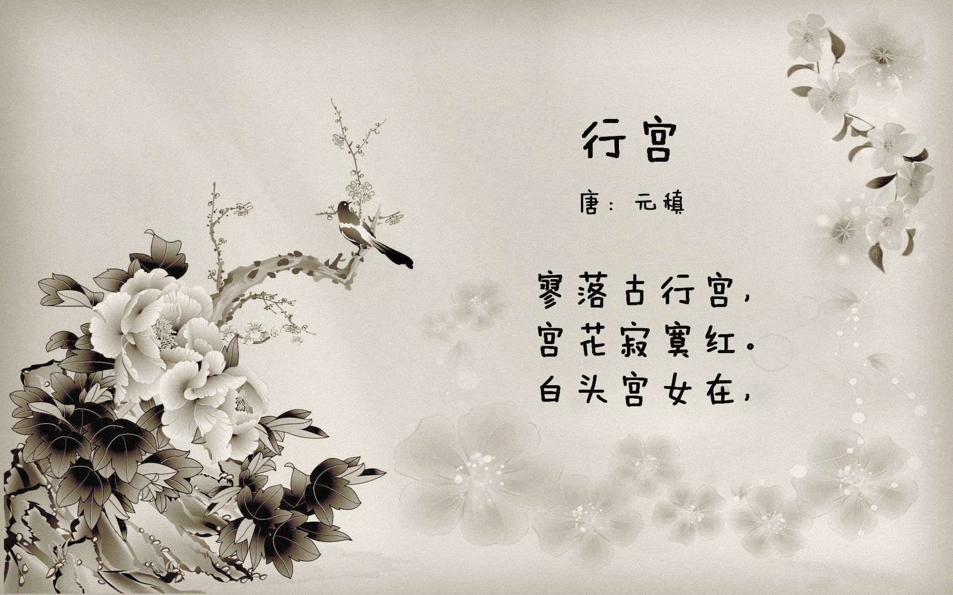 苏格兰橄榄球队的未来发展依赖于青训和人才培养,苏格兰 球员