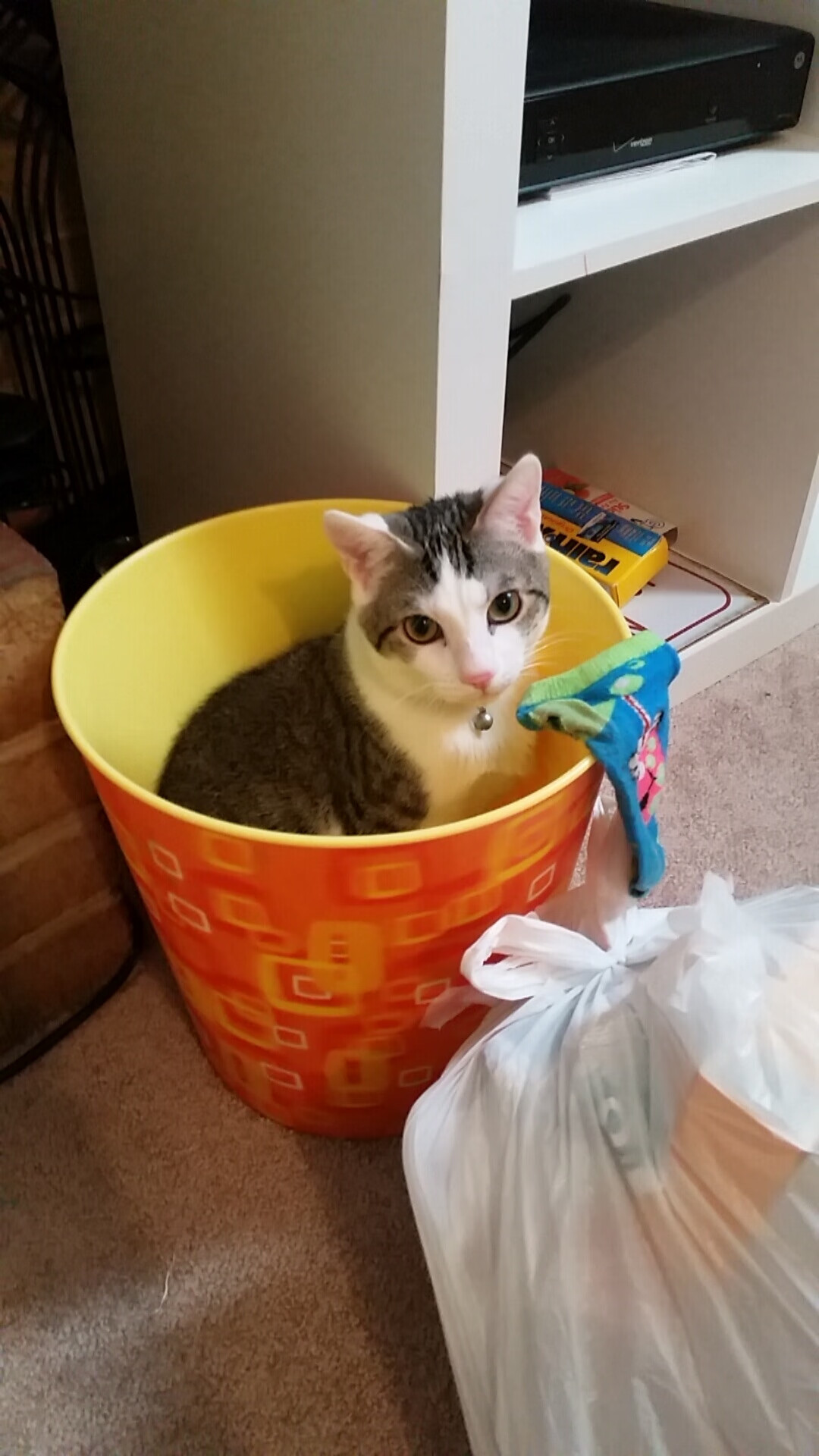 英超战火纷飞:每一次攻门都扣人心弦,英超战术分析